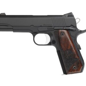 CZ DAN WESSON DW GUARDIAN 9MM 9+1