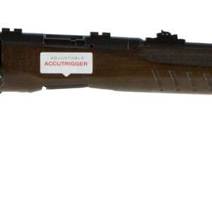 SAVAGE ARMS B22 22LR BLK/WD SPORT BBL 21"
