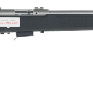 SAVAGE ARMS 93 BOLT 17HMR SS/SY 21" 5+1
