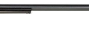 HERITAGE MANUFACTURING RR 22LR COLOR CASE 16" 6RD FS