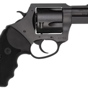 CHARTER ARMS CHARTER PITBULL 45ACP NIT 2.5"