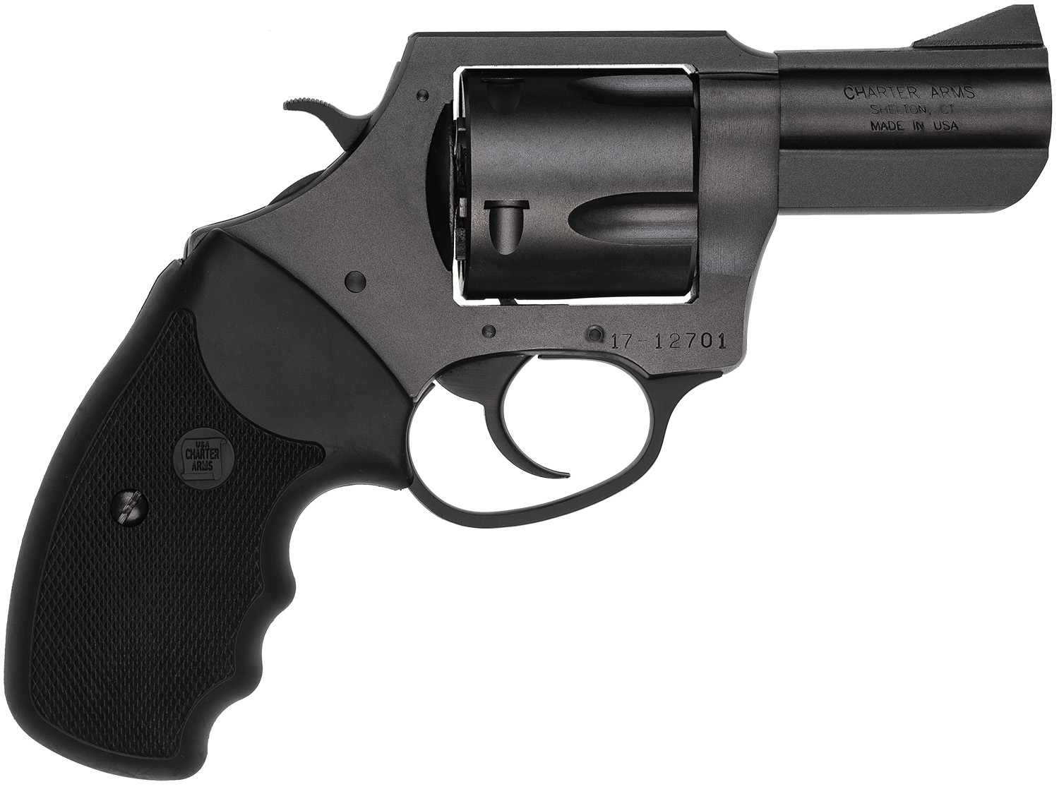 CHARTER ARMS CHARTER PITBULL 45ACP NIT 2.5"