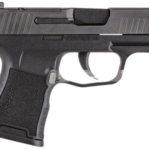 SIG SAUER P365 380ACP BLK 10+1 NS