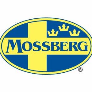 MOSSBERG PATRIOT 308WIN BL/SS 22" TB  #
