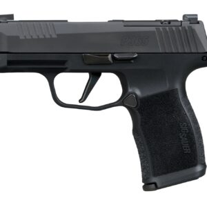 SIG SAUER P365-XL COMP 380ACP BK 10+1 NS