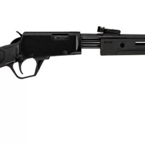 ROSSI GALLERY 22LR BK/SYN 18" 15+1 #