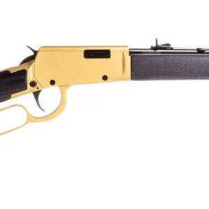 ROSSI RIO BRAVO 22LR GLD/BK 18"    #