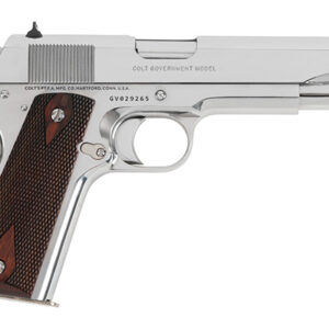 COLT GOVERNMENT 45ACP BRIGHT SS 5"