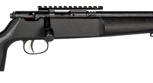 SAVAGE ARMS RASCAL TARGET 22LR CMPT BLACK