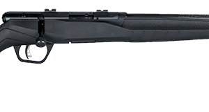 SAVAGE ARMS B17 COMPACT 17HMR BL/SYN 18"