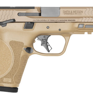 SMITH AND WESSON M&P9 M2.0 CPT 9MM 10+1 FDE OR