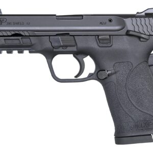 SMITH AND WESSON M&P380 SHIELD EZ 380ACP SAFETY